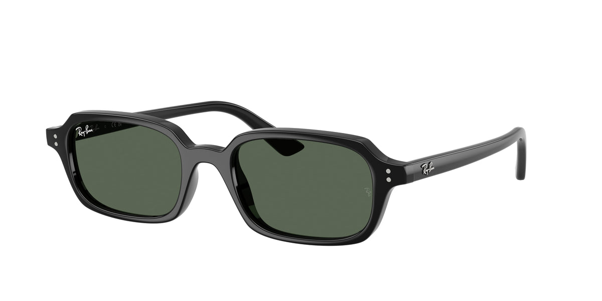 RAY-BAN ZURI 4455 6677/71