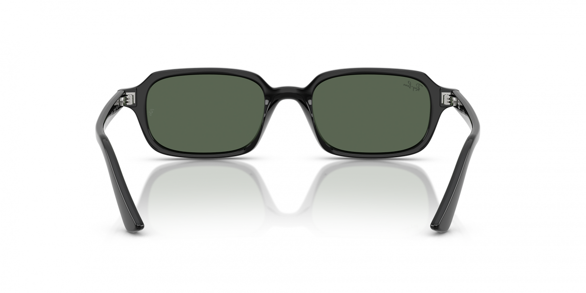 RAY-BAN ZURI 4455 6677/71