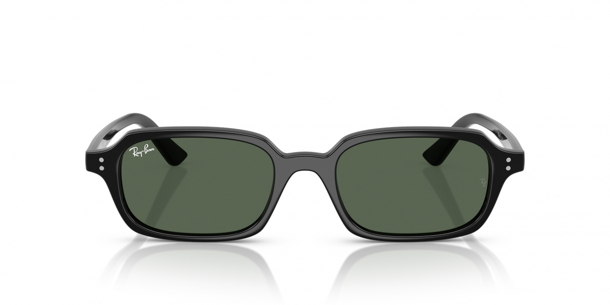 RAY-BAN ZURI 4455 6677/71