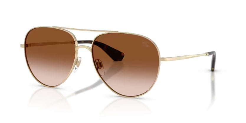 BURBERRY 3172 110913