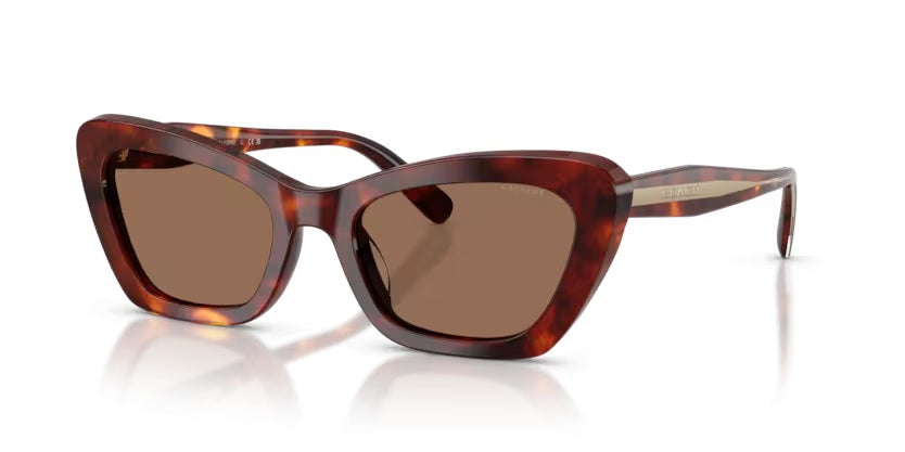 COACH 8452U CDP52 593873 WALNUT TORTOISE