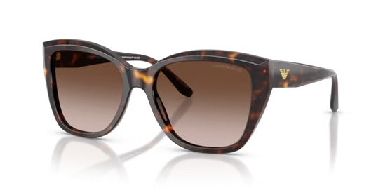 EMPORIO ARMANI 4198 5026/13