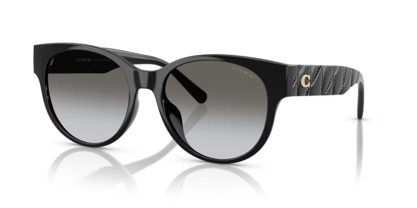 COACH 0HC8430D 50023C