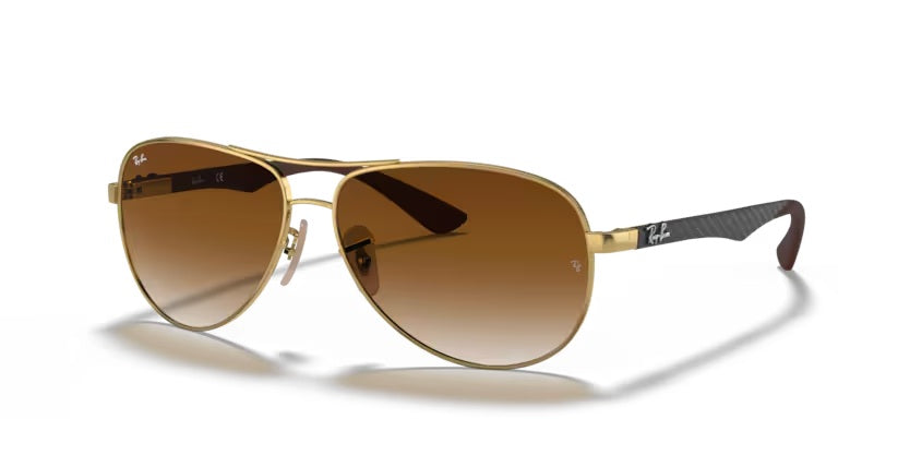 RAY-BAN 8313 001/51