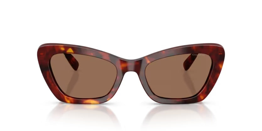 COACH 8452U CDP52 593873 WALNUT TORTOISE