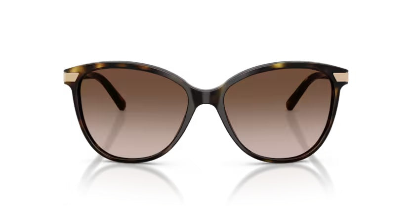 BURBERRY 4216 3002/13