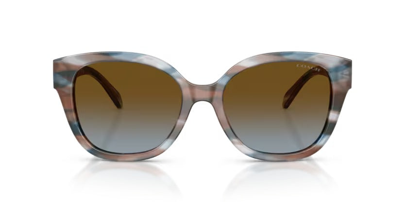 COACH 8438U CBY94 589913 STRIATED MAPLE/ BLUEBERRY