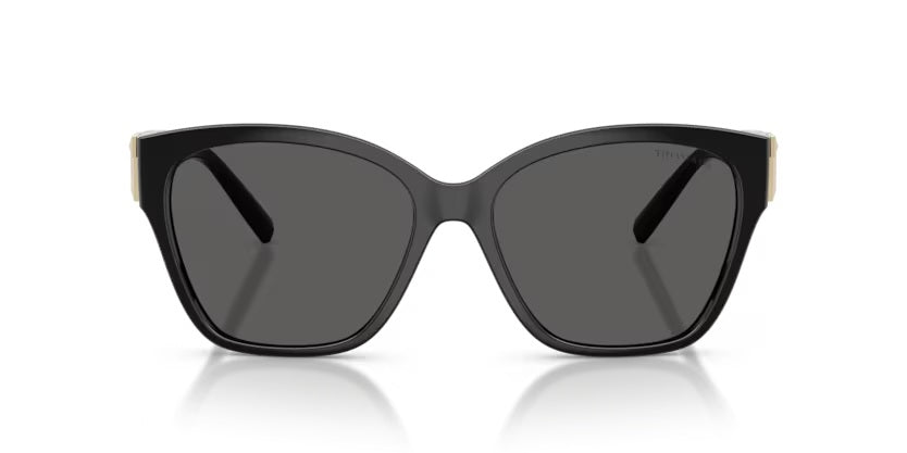 TIFFANY & CO 4254U 8001/54