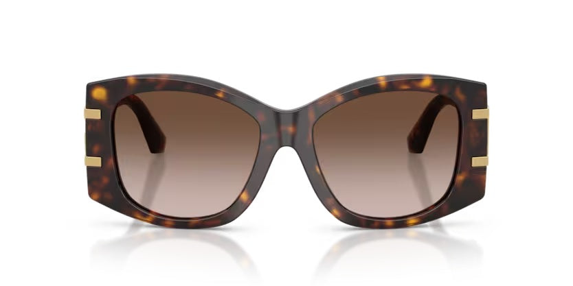 DOLCE & GABBANA 4501 502/13