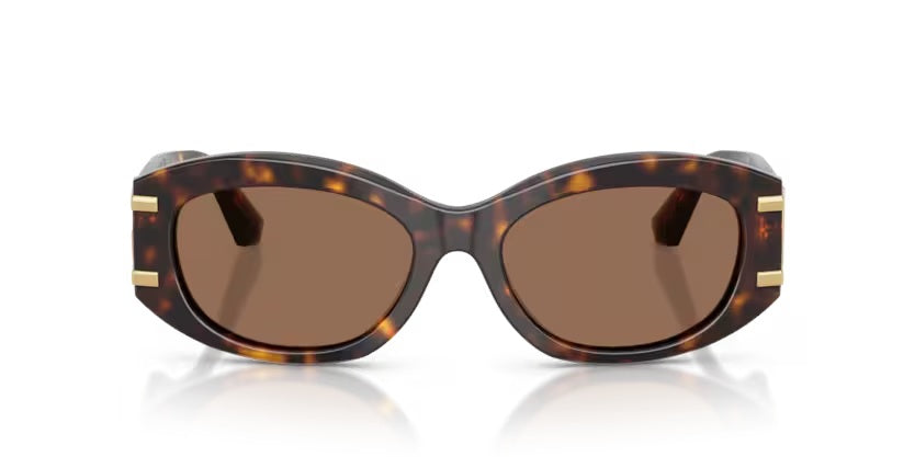 DOLCE & GABBANA 0DG4502 502/73
