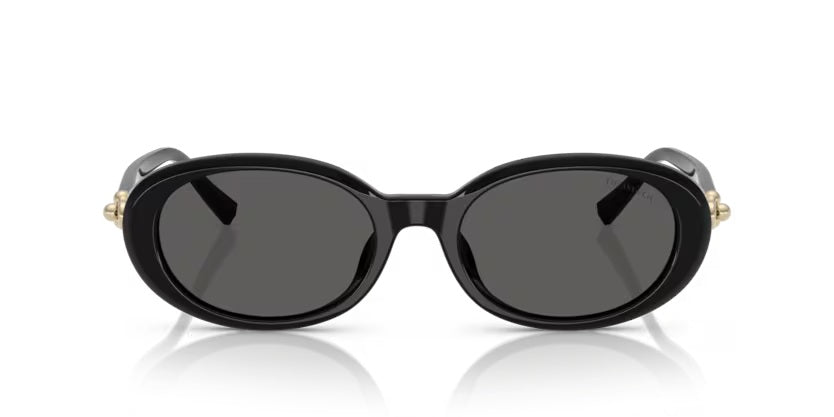 TIFFANY & CO 4242D 8361S4