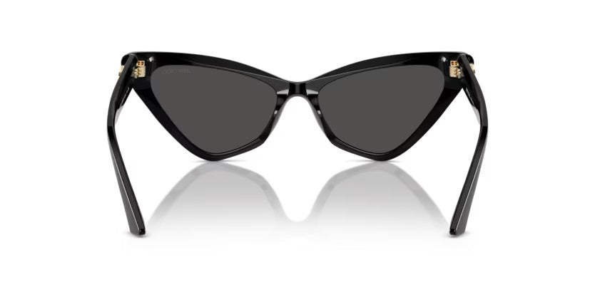 JIMMY CHOO 0JC5008 50008755