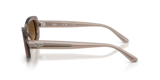 RAY-BAN 2221 6827/M2