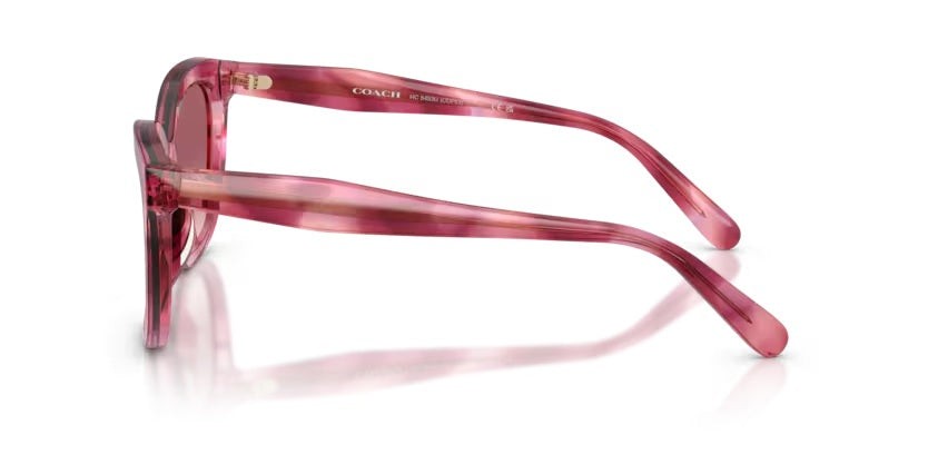 COACH 8453U CDP53 59417W PURPLE COSMO TORTOISE