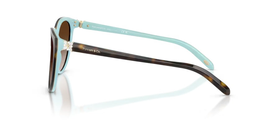 TIFFANY & CO 0TF4089B 81343B