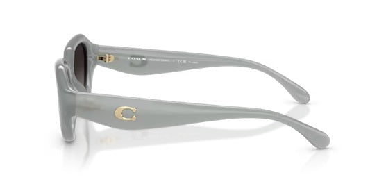 COACH 8433U CBY81 MILKY EUCALYPTUS 5905T3