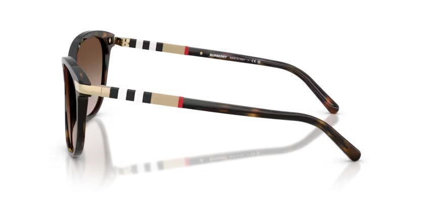 BURBERRY 4216 3002/13