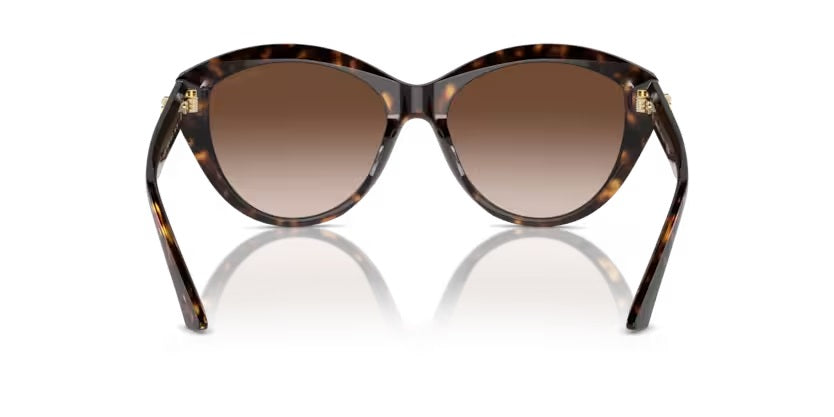 JIMMY CHOO 0JC5007 50021355