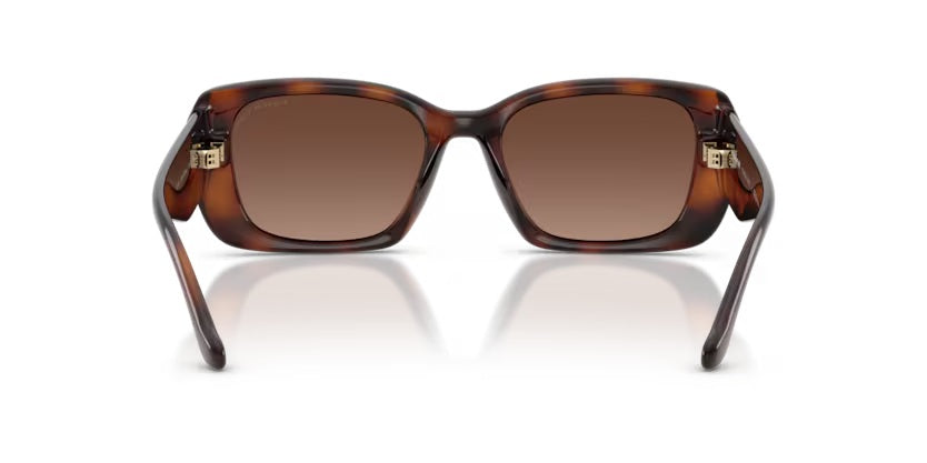 COACH 8435U CBY83 5120T5 DARK TORTOISE