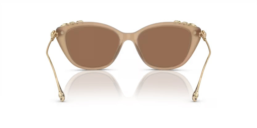 SWAROVSKI 0SK6010F 20020K55