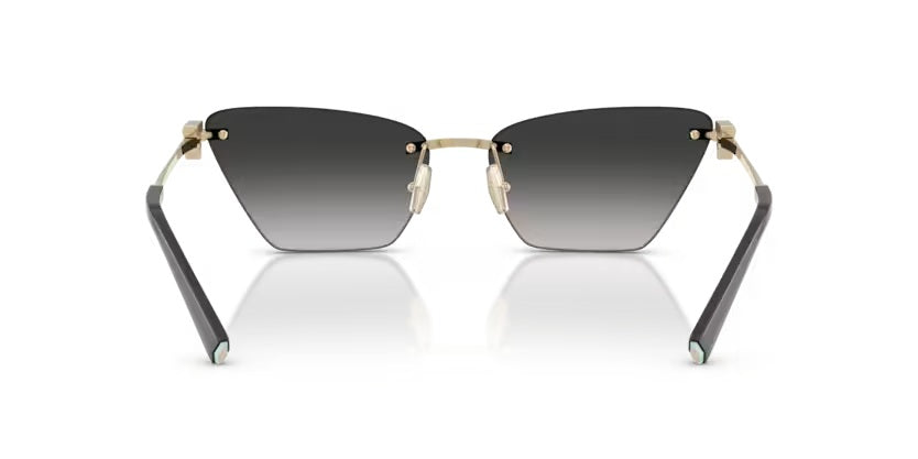 TIFFANY & CO 3120 62413C