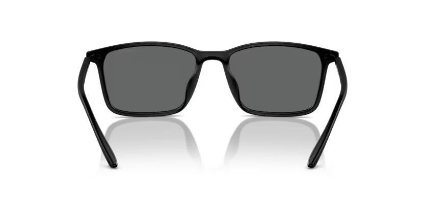 EMPORIO ARMANI 4223U 500187