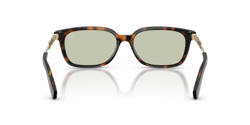 BURBERRY 4481D 3002/25