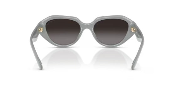 COACH 8433U CBY81 MILKY EUCALYPTUS 5905T3