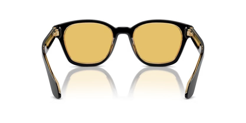 GIORGIO ARMANI 0AR8207 60848550