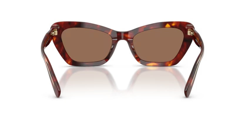 COACH 8452U CDP52 593873 WALNUT TORTOISE