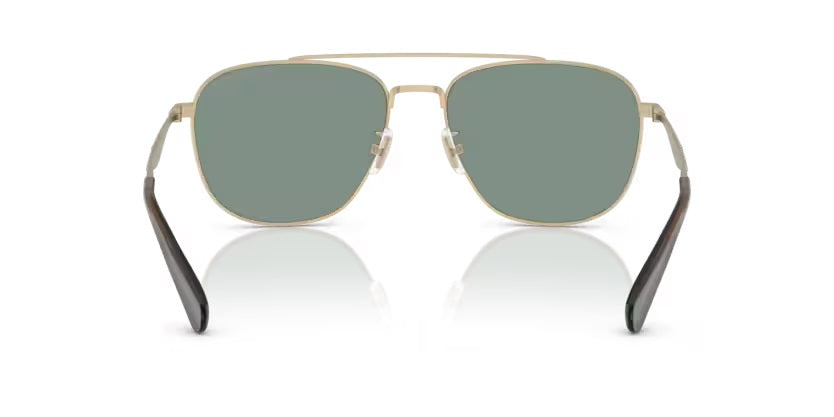 COACH 0HC7172 90056R