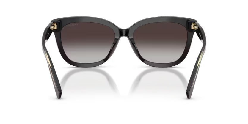 COACH 8453U CDP53 50028G BLACK
