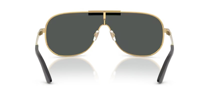 VERSACE 2293 1002/87