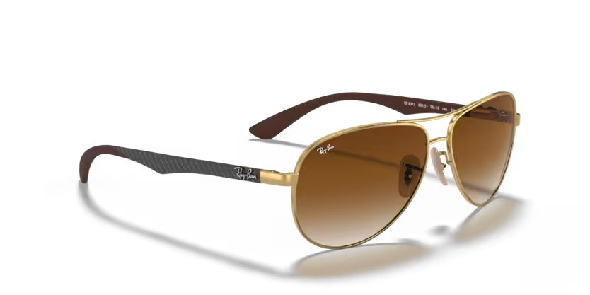 RAY-BAN 8313 001/51