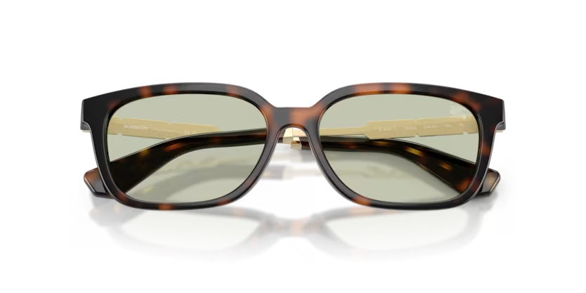 BURBERRY 4481D 3002/25