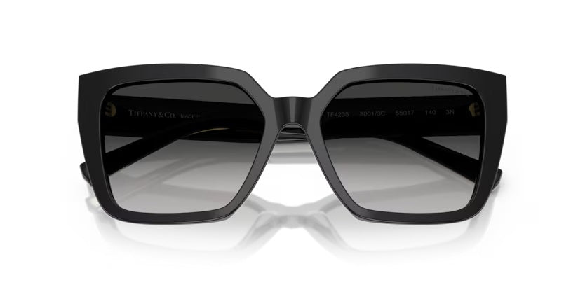 TIFFANY & CO 4235 80013C