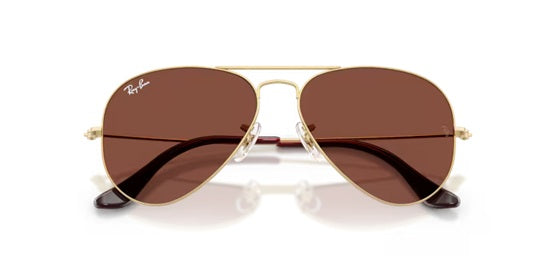 RAY-BAN AVIATOR LARGE 3025 001/C5