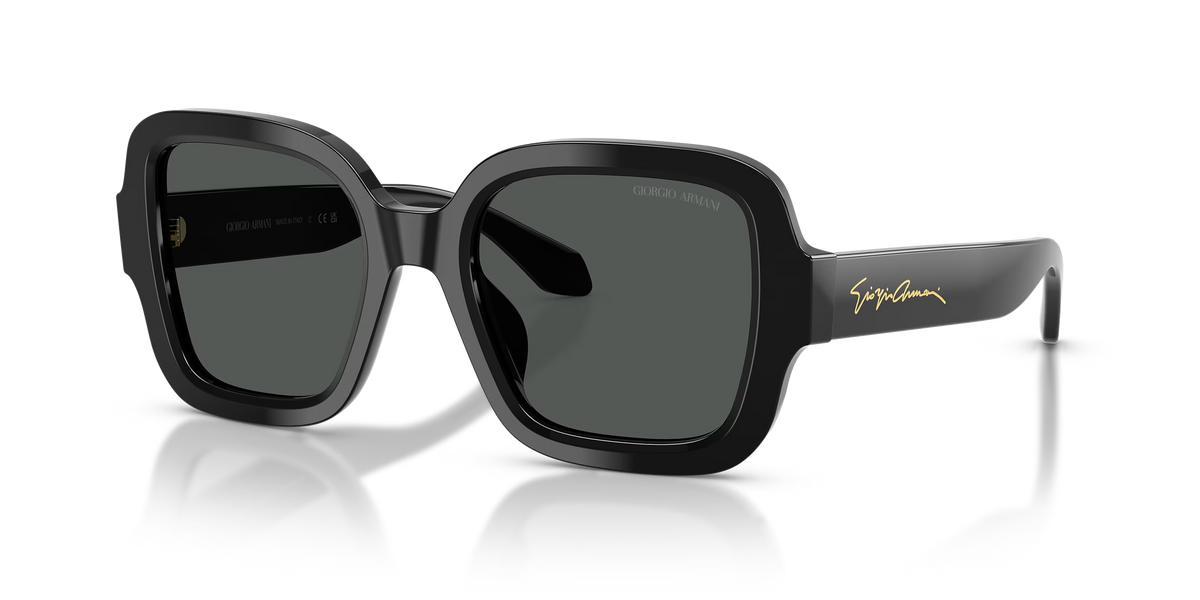 GIORGIO ARMANI 8268U 587587