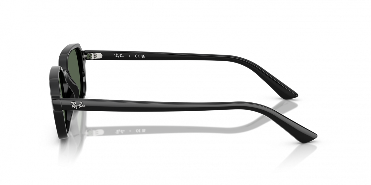 RAY-BAN ZURI 4455 6677/71