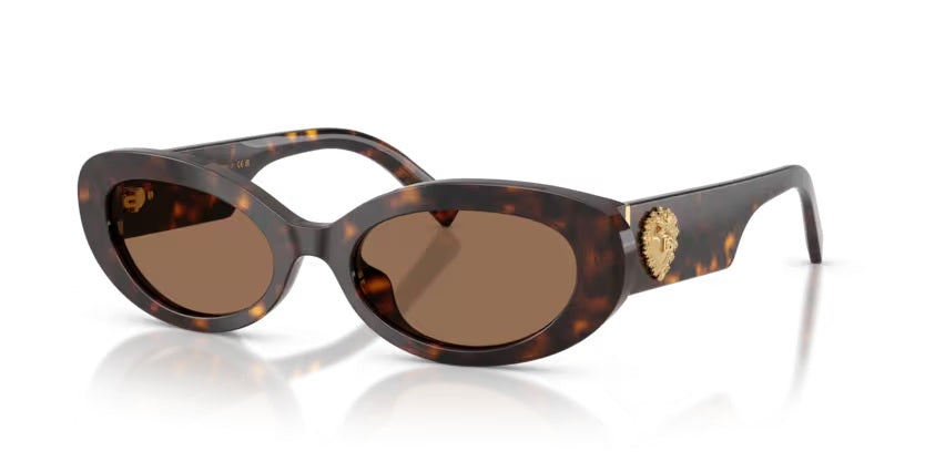 DOLCE & GABBANA 4537 502/73
