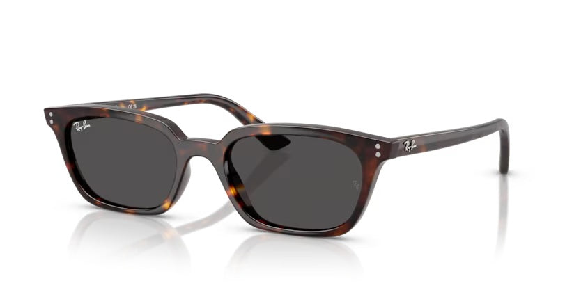 RAY-BAN ZAYA 4456 1359/87