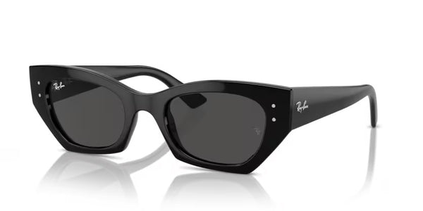 RAY-BAN 0RB4430 667787