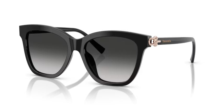 TIFFANY & CO 4241D 80013C