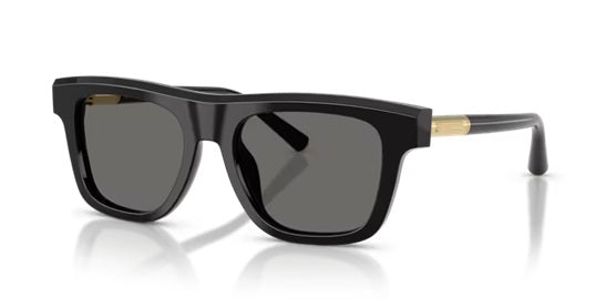 DOLCE & GABBANA 4521 501/1