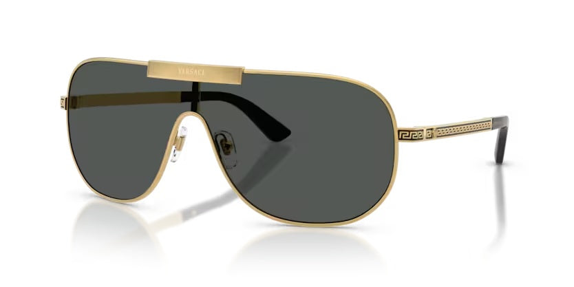 VERSACE 2293 1002/87