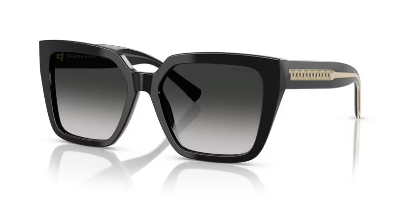 TIFFANY & CO 4235 80013C