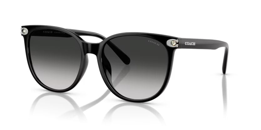 COACH 8414BD 50023C