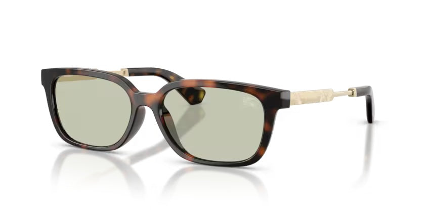 BURBERRY 4481D 3002/25