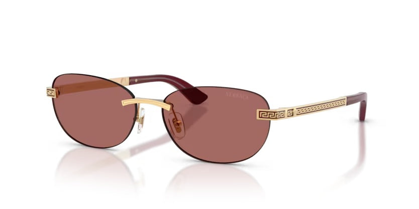 VERSACE 2307 1523/69