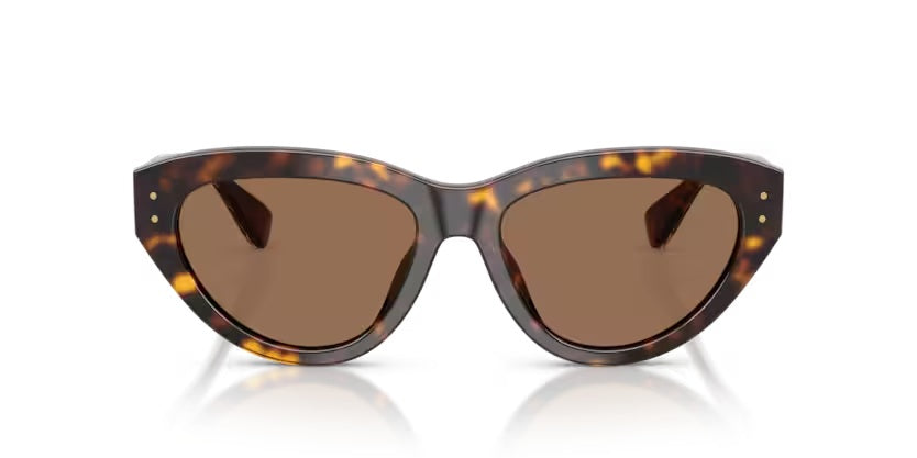 DOLCE & GABBANA 4558 502/73
